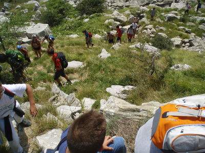 Clicca per vedere l'immagine alla massima grandezza