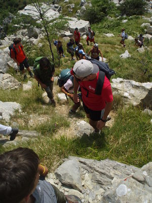 Clicca per vedere l'immagine alla massima grandezza