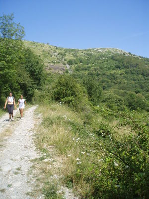 Clicca per vedere l'immagine alla massima grandezza