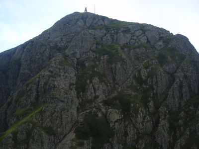 Clicca per vedere l'immagine alla massima grandezza